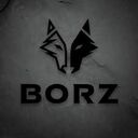 Логотип семьи Borz