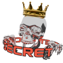 Логотип семьи SECRET