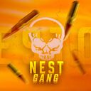 Логотип семьи NEST DIVISION
