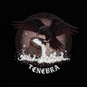 Логотип семьи Tenebra